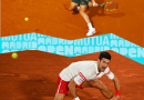 Carlos Alcaraz Novak Djokovic